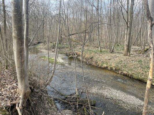 Naturparadies vor der Tür