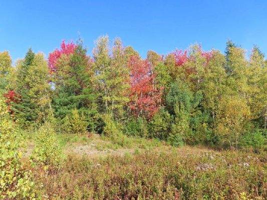 Nova Scotia - Smithfield - Wunderschönes 47-Hektar