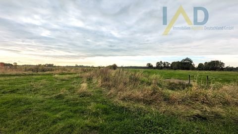 Stadland / Norderschwei Bauernhöfe, Landwirtschaft, Stadland / Norderschwei Forstwirtschaft