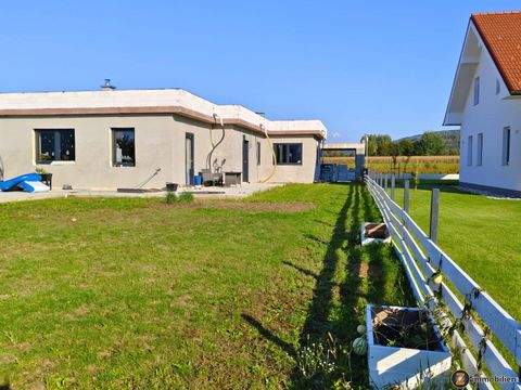 Pinkafeld Häuser, Pinkafeld Haus kaufen