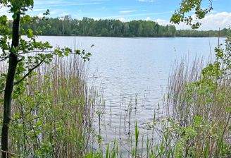 Ufer Neuhofer Stich1.jpg