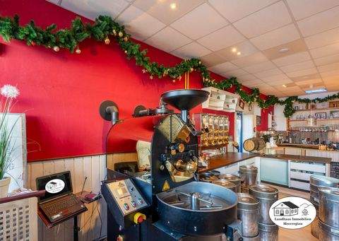 Wunstorf Häuser, Wunstorf Haus kaufen