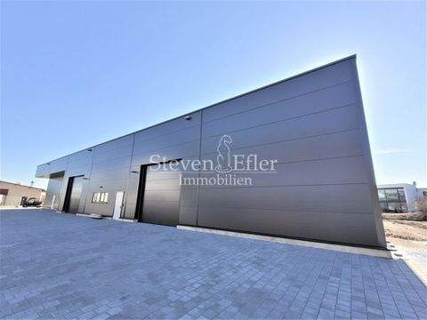 Kammerstein Halle, Kammerstein Hallenfläche