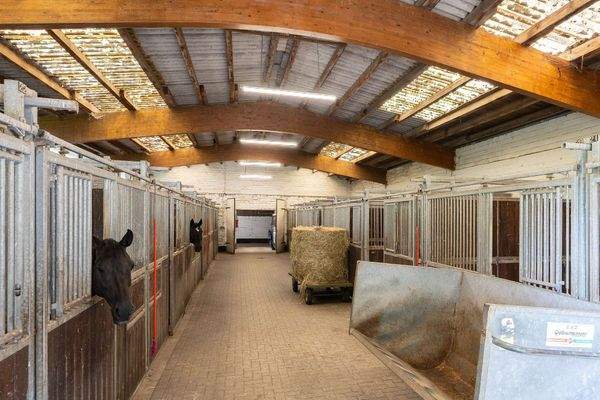 Stallung mit 20 Boxen