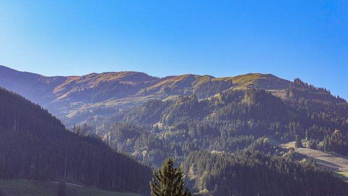 KITZIMMO-Neubau-Penthouse mit Panorama-Ausblick in sonniger Lage - Immobilien Aurach.