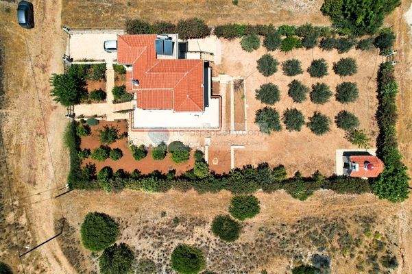 img_30333524-46c8-4d9a-bd25-c44a055ad8f1