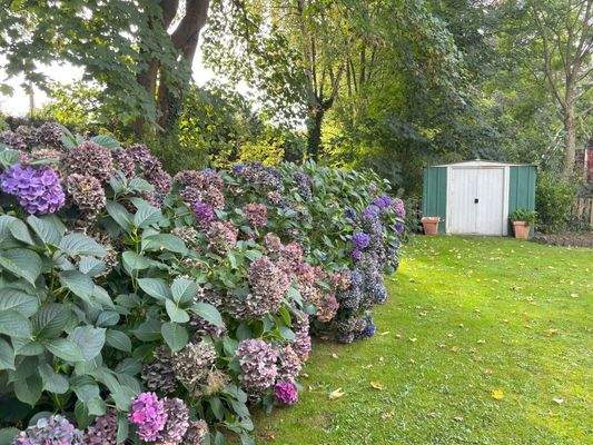 praktischer Geräteschuppen