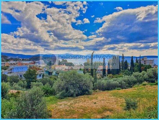 773c621431b744ff99b4c9907eb9f9b6-original