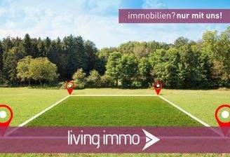 Vorlage Startbild Normal Logo und Fenster living immo Farbe (2)