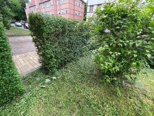 Heckenbereich + Außenfläche