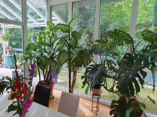 Wintergarten und Terrasse.