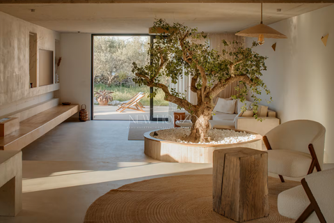 Solta Häuser, Solta Haus kaufen