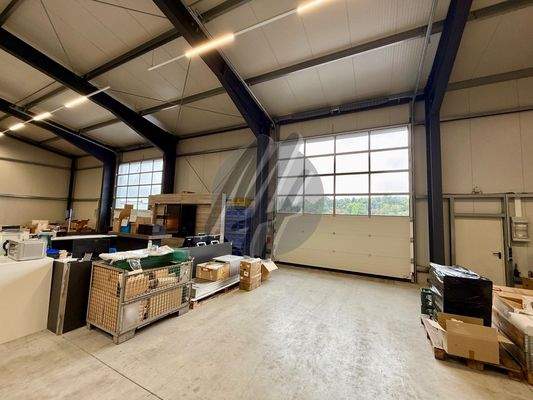 INFOS UNTER: 06171-586000