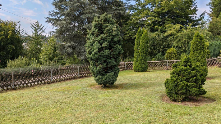 252c2506-990b-4e1d-a93a-02af15039df4