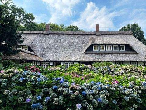 Wildeshausen Häuser, Wildeshausen Haus kaufen