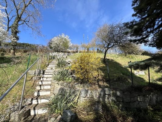 Gartenpfad mit Zugang zum Blütenweg