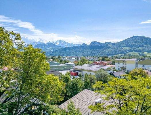 HP3-Grundstück-Puch-Aussicht