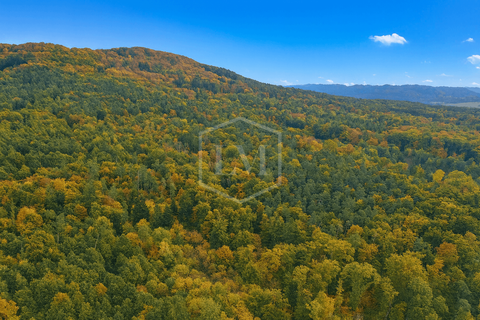 Lauf an der Pegnitz Bauernhöfe, Landwirtschaft, Lauf an der Pegnitz Forstwirtschaft