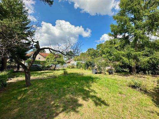 Seitenansicht rechts vorn