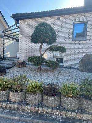 WhatsApp Image 2025-11-04 at 14.22.06 (7)