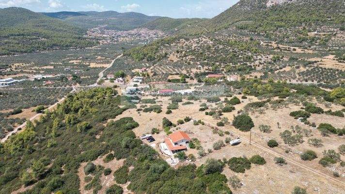 1e3704e8208b4d2b89438e689bc16c85-original