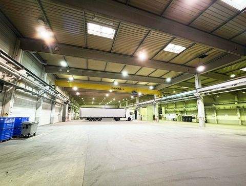 Berlin Halle, Berlin Hallenfläche