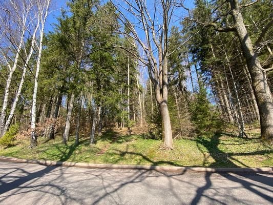 Obere Grundstücksgrenze mit Waldblick