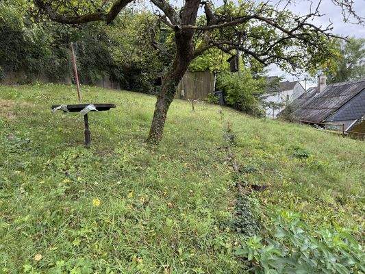 Garten-/Wiesengrundstück