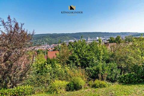 Deizisau Häuser, Deizisau Haus kaufen