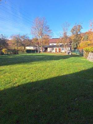 Garten mit Nebengelass