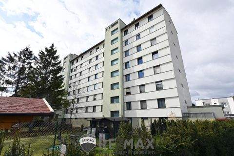 Wiener Neudorf Wohnungen, Wiener Neudorf Wohnung kaufen