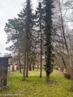 Grundstücksblick von der Strasse Richtung Rhin 