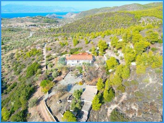 5cc22b0d02e2416abeb589751798a16d-original