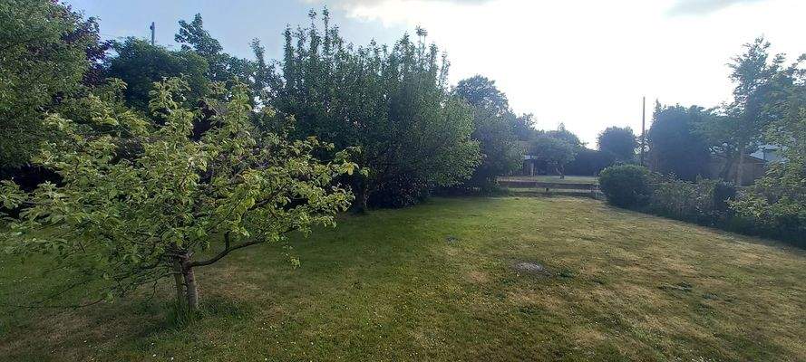 Großes Grundstück.jpg