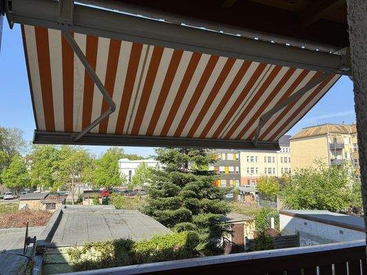 Makiese am Balkon