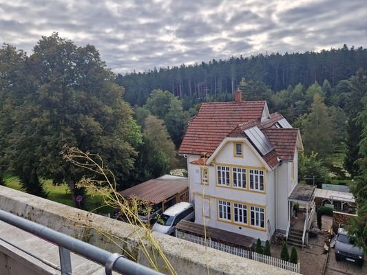 Ausblick vom Balkon