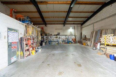 Neulussheim Halle, Neulussheim Hallenfläche