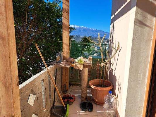 WhatsApp Image 2025-01-30 at 15.11.14_00eb76a3.jpg