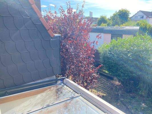 Blick von der Loggia