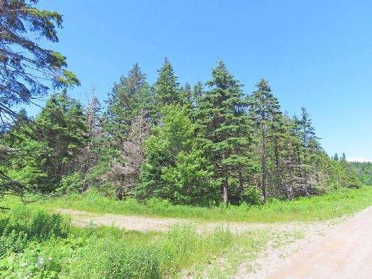 Cape Breton - Preiswertes 8,9 Hektar-Grundstück in