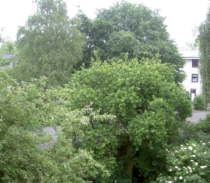  Zimmer Wohnung in Hamburg (Rahlstedt)