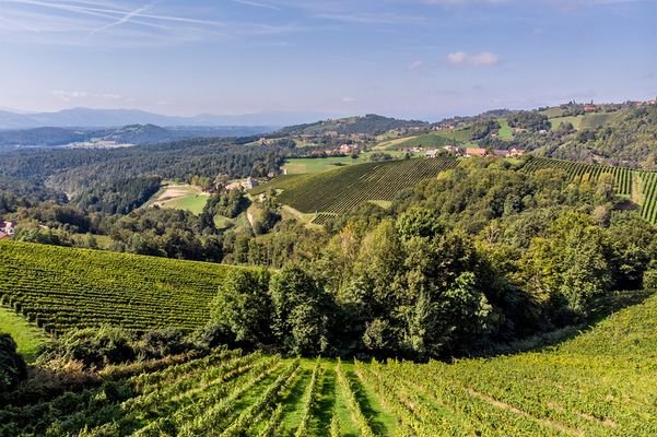 Kitzeck, höchst gelegenes Weingebiet mit Aussichten bis nach Slowenien