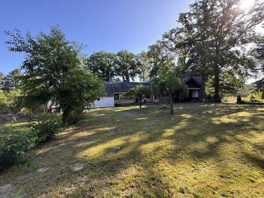 Blick über den Garten zum Haus