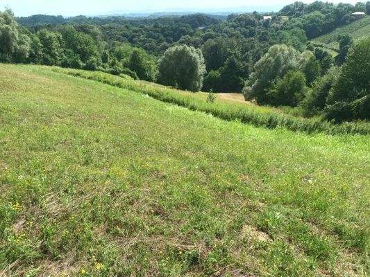 WhatsApp Image 2025-07-14 at 15.32.20