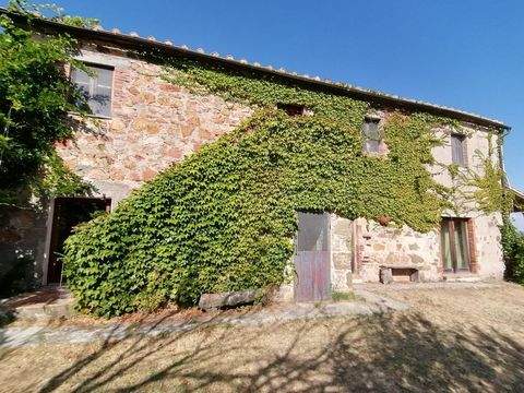 Sorano Häuser, Sorano Haus kaufen