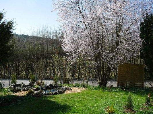 Garten mit Teichanlage