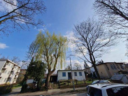 Blick zum Grundstück.jpg