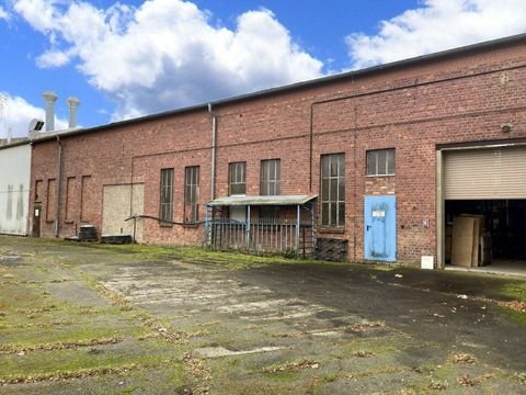 Barth Halle, Barth Hallenfläche