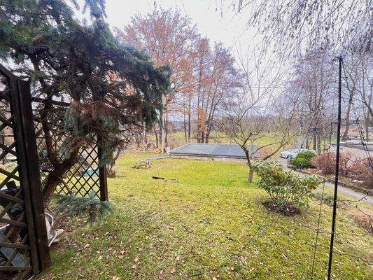 Blick in den unteren Grundstücksteil