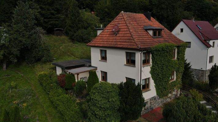 43 Seitenansicht.JPG